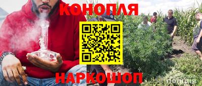 индика Старая Купавна