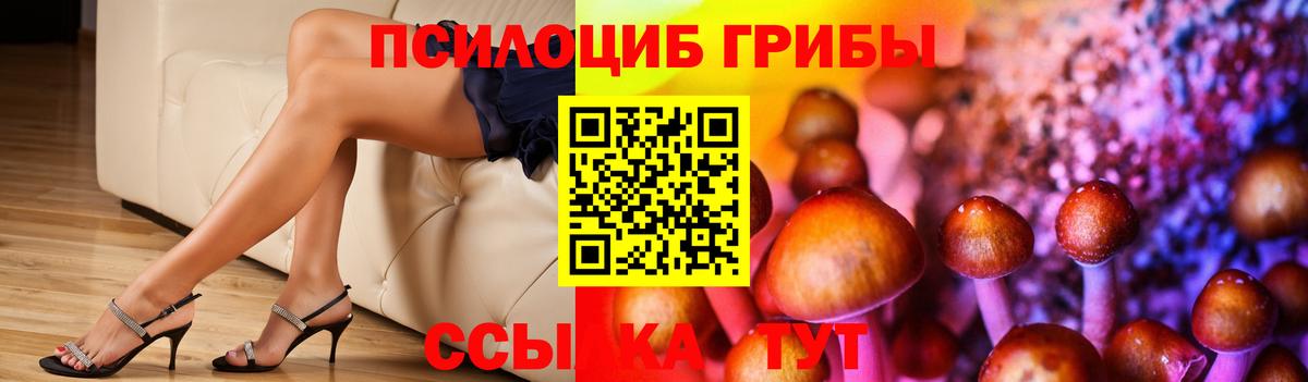 Галлюциногенные грибы мухоморы  Вход с VPN  Рузаевка  Псилоцибиновые грибы Psilocybe 